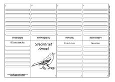 Faltbuch-Steckbrief-Amsel-1.pdf